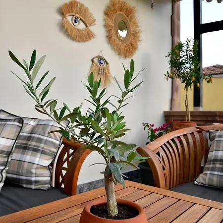 Siyah Lale Cunda 1841 (adults Only) 2*