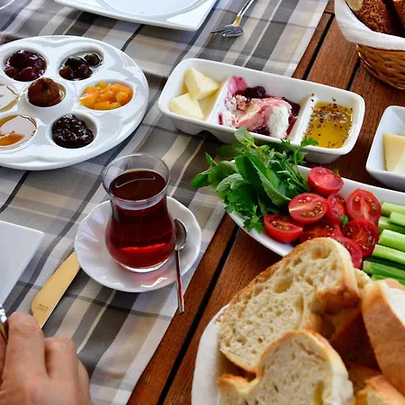 Siyah Lale Cunda 1841 (adults Only)