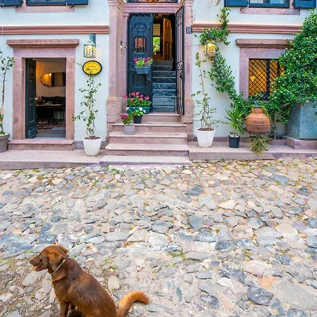 Siyah Lale Cunda 1841 (adults Only) Hotel