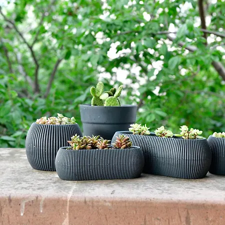 Siyah Lale Cunda 1841 (adults Only) 호텔 Ayvalı