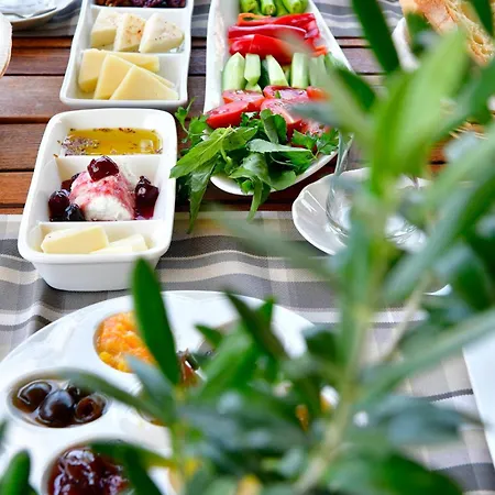 Siyah Lale 1841 (adults Only) 호텔 2*