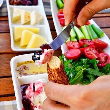 호텔 Siyah Lale Cunda 1841 (adults Only)