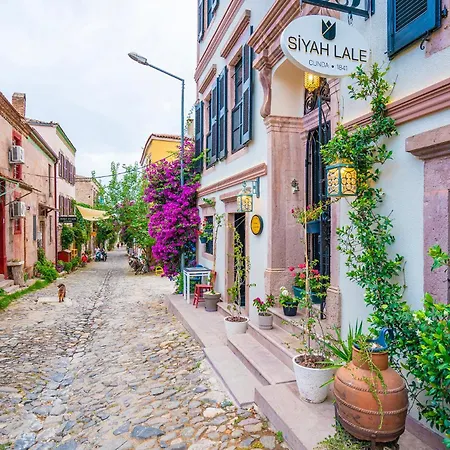 Siyah Lale Cunda 1841 (adults Only) Hotel