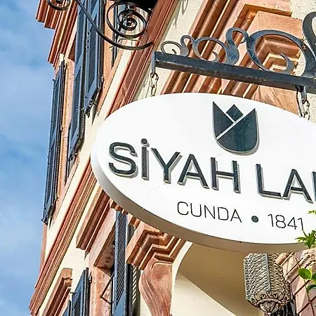 酒店 Siyah Lale 1841 (adults Only) 崇达