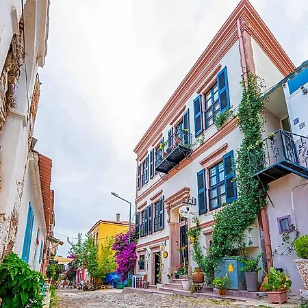 Siyah Lale 1841 (adults Only) 2*